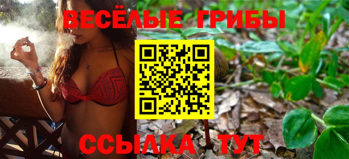 Галлюциногенные грибы Magic Shrooms  Вход с VPN  Тайшет 
